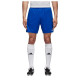 Adidas Παιδικό σορτς Parma 16